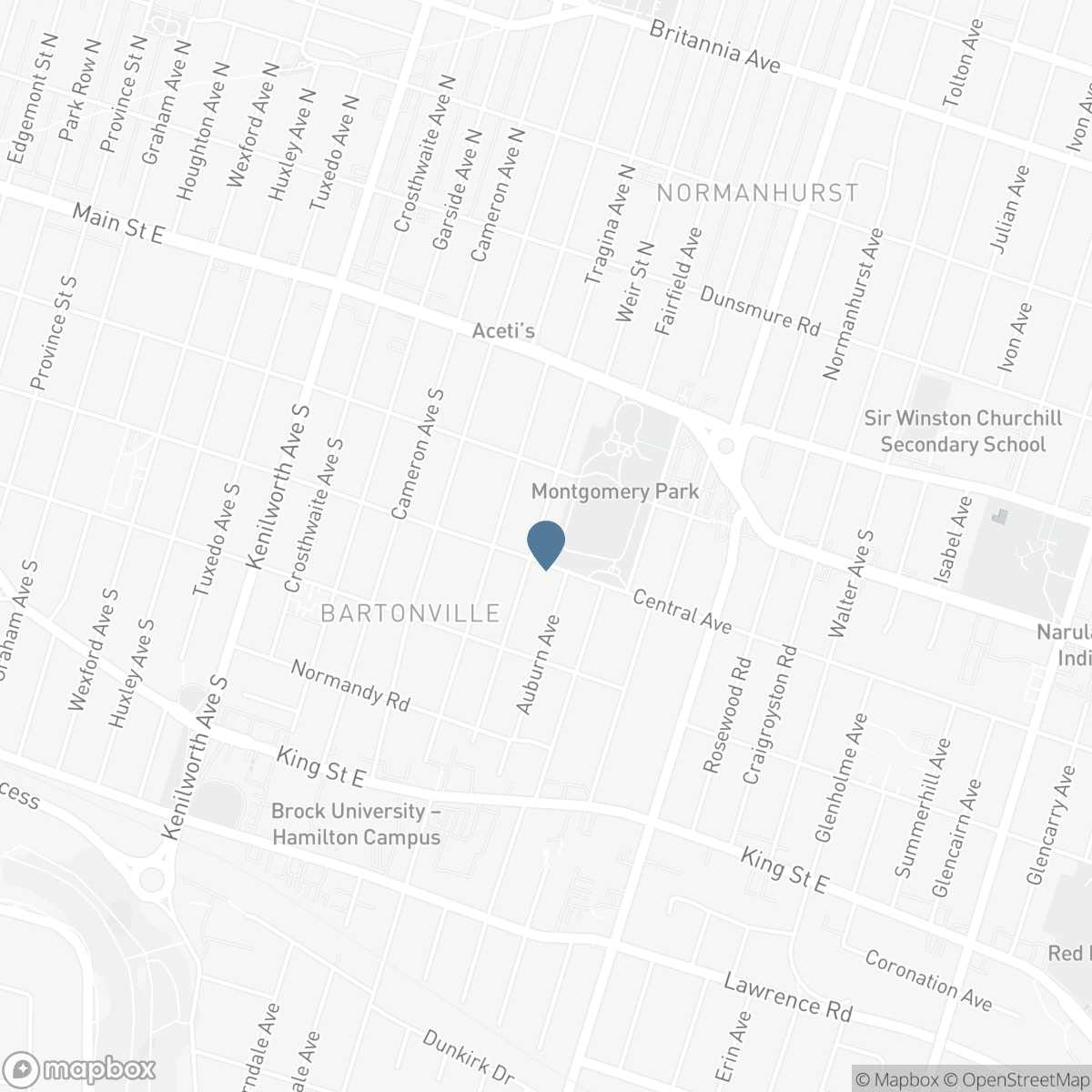 57 WEIR STREET S, Hamilton, Ontario L8K 3A3